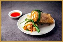 Spring Paneer Roll
